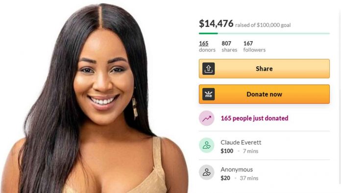Nigerians blast Erica fans for opening GoFundMe account, donating over $14k to her after disqualification