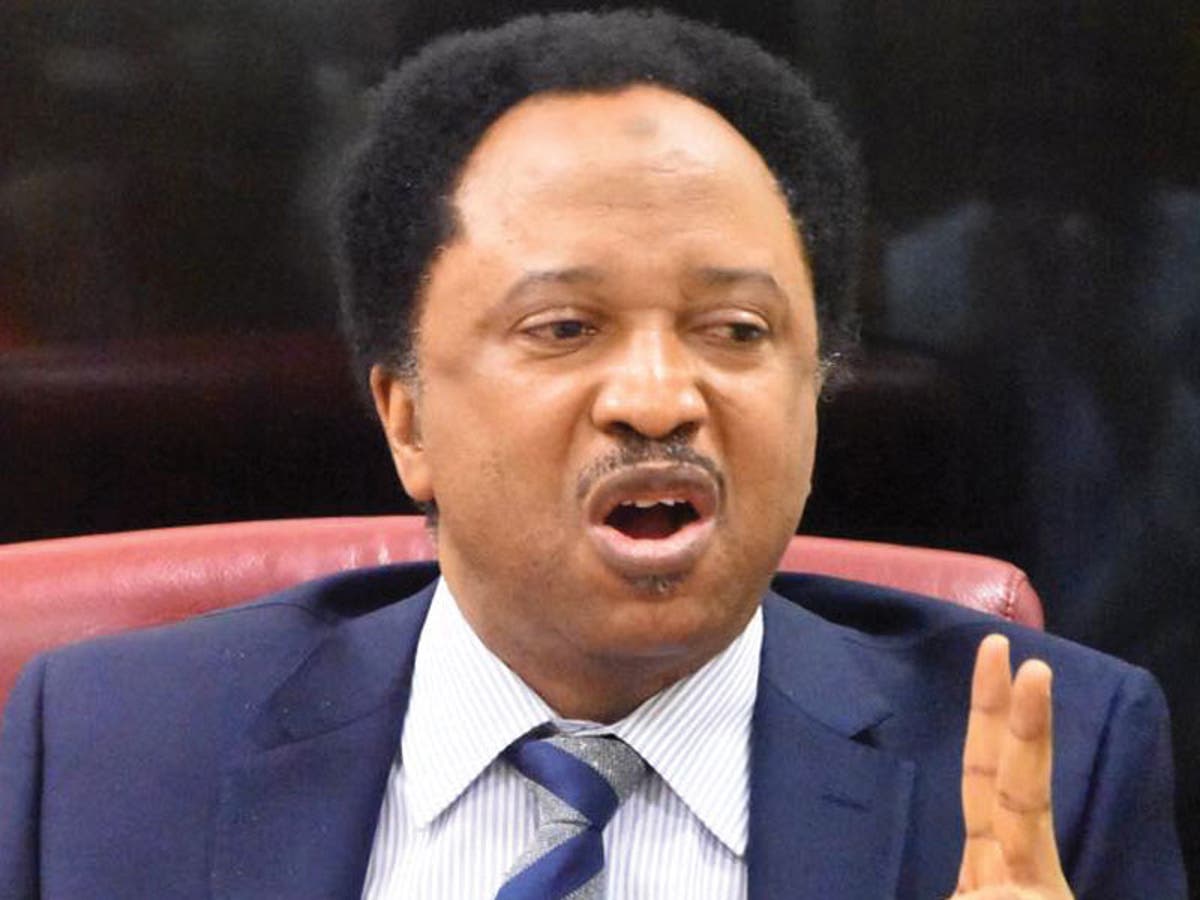 Electronic transmission of election results: NASS has created three electoral bodies - Sani