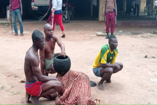 Latest Breaking News About Amotekun in Oyo State: Amotekun arrests 3 suspected ritualists in Ibadan