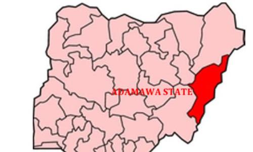 Adamawa State Finally Set To Hold Local Government Election April 9
