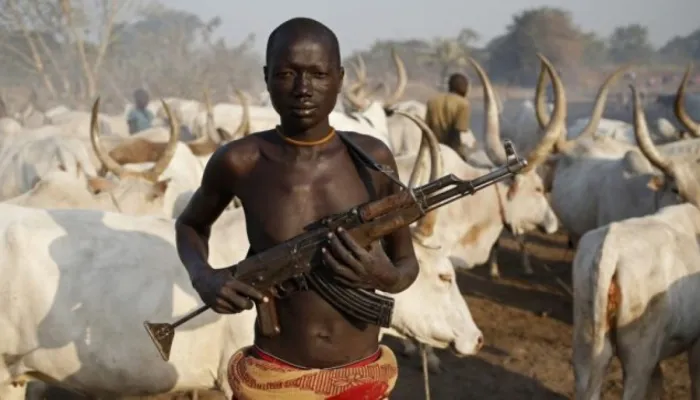 armed fulani herdmen