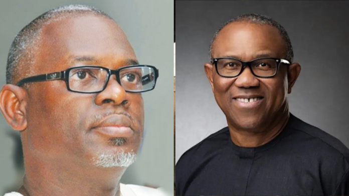 Obasanjo backed my appointment to replace Okupe as Peter Obi campaign DG