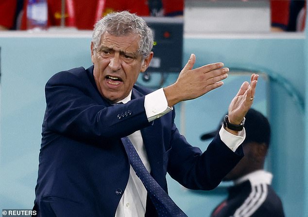 Portugal coach Santos leaves job after World Cup exit