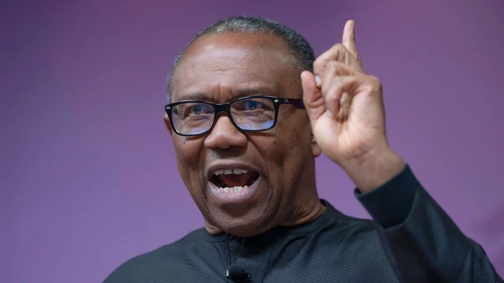I Won The Elections And I Would Prove It – Peter Obi