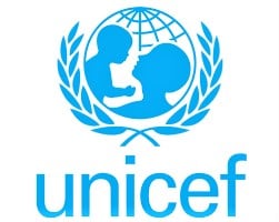 UNICEF officials feared dead as gunmen attack Anambra community
