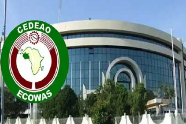 ECOWAS parliament calls for increased regional Security to prevent coup