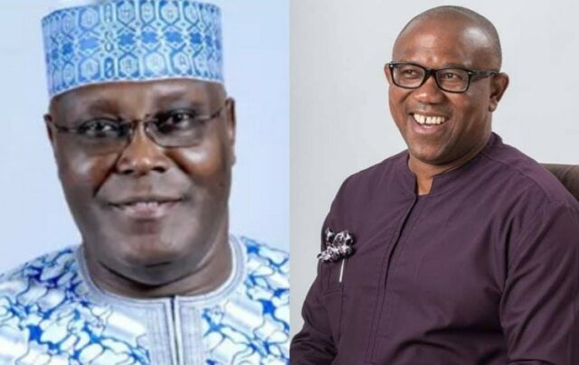 Atiku, Obi told to release academic records to public or risk lawsuit | The Guardian Nigeria News