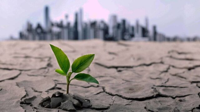  Association launches programme to tackle environmental sustainability, climate change