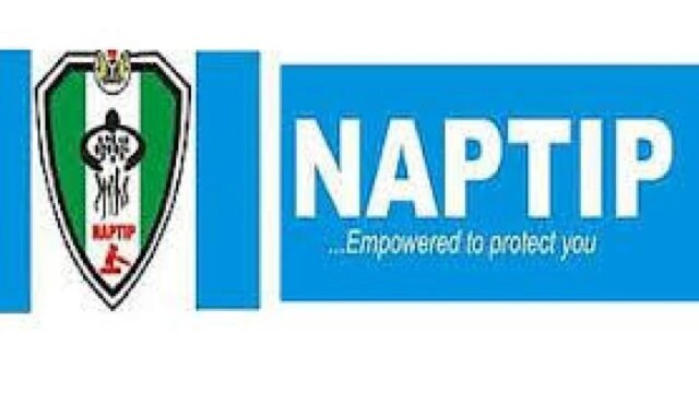 Female circumcision punishable with 4 years imprisonment – NAPTIP