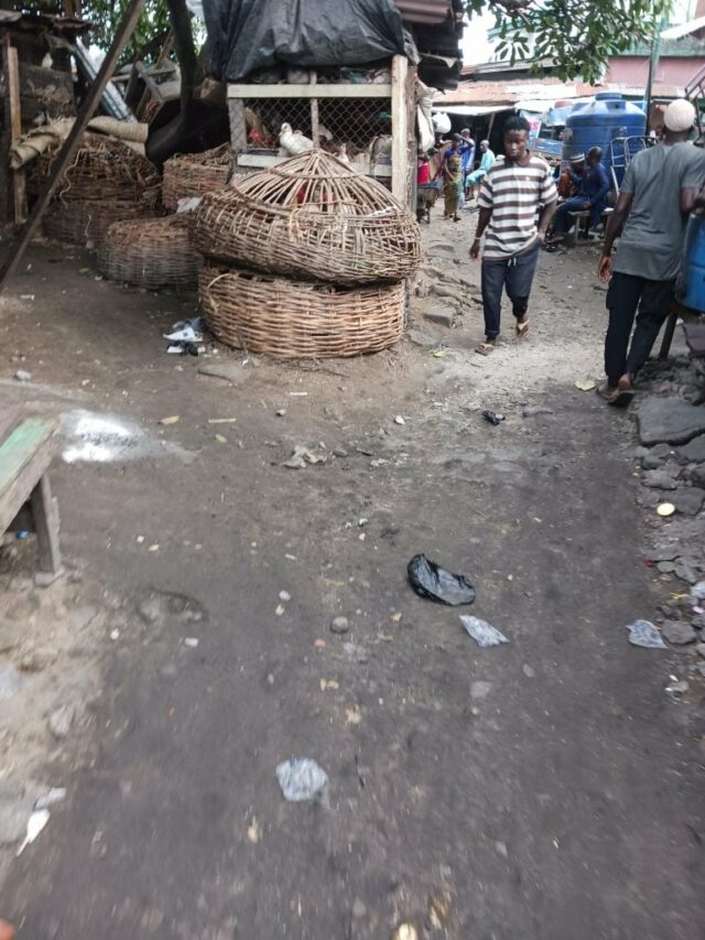 Cheap poison: How Lagos traders repackage, sell dead chickens after Cheap poison: How Lagos traders repackage, sell dead chickens after rodent attacks
