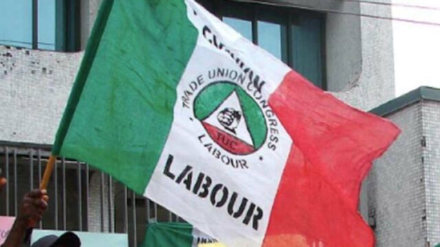 Obi's supporters ask NLC to respect laws in Labour Party affairs — Politics — The Guardian Nigeria News – Nigeria and World News