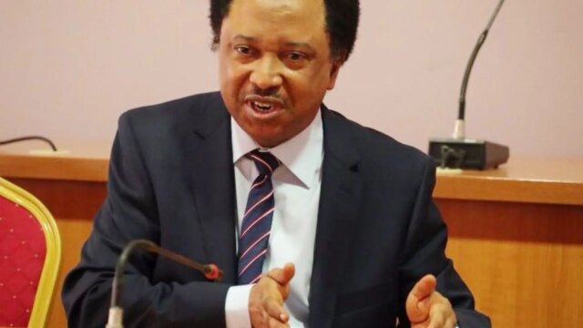 Russian flag: Money was shared - Shehu Sani alleges plots Russian flag: Money was shared - Shehu Sani alleges plots to overthrow Tinubu's govt
