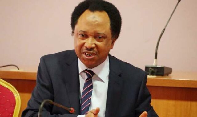 Collecting PVC without voting should attract heavy fine Shehu Sani