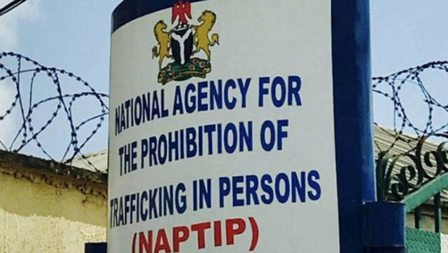 NAPTIP reunites nine rescued children with parents in Kebbi