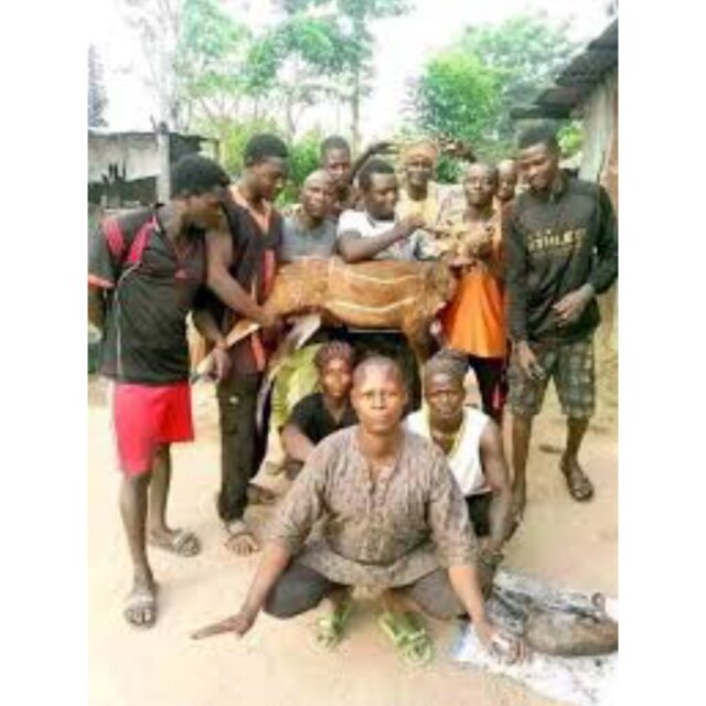 GridArt_20250401_000206903