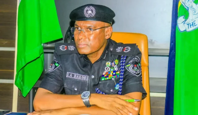 Traditional rulers key to tackling thuggery, says Kano CP