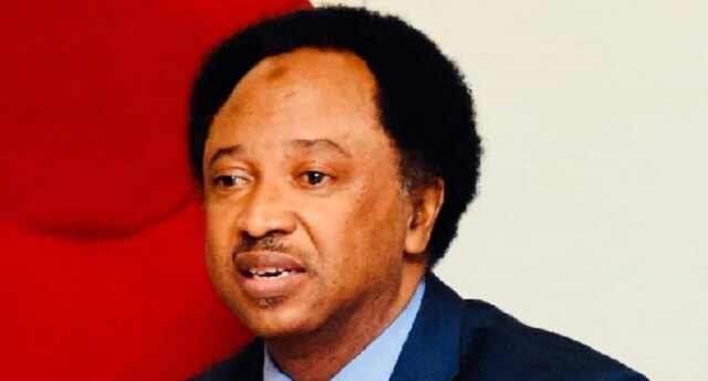2027: North must support Tinubu to complete 8yrs, he did well - Shehu Sani