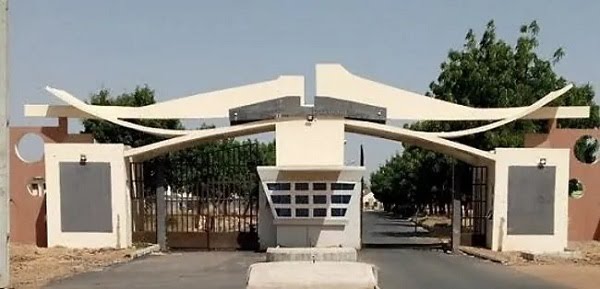 FG Approves 60 Programmes for Federal Poly Damaturu – Daily nizamiye hospital abuja