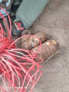 Anambra Police, Security Forces Destroy ESN/IPOB Militia Camp in Aguata
