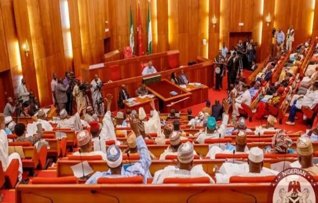 Senate passes bill prohibiting recruitment of underage persons into Nigerian military