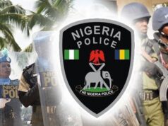 Teenager allegedly kills cousin for ritual in Edo Nigeria Police