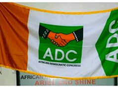 ADC accuses Supreme court of enabling ‘constitutional tyranny’ over state of emergency ruling ADC accuses Supreme court of enabling ‘constitutional tyranny’ over state of emergency ruling