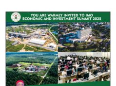 Ohanaeze Ndigbo Worldwide Officially Endorses Imo State Economic Summit 2025