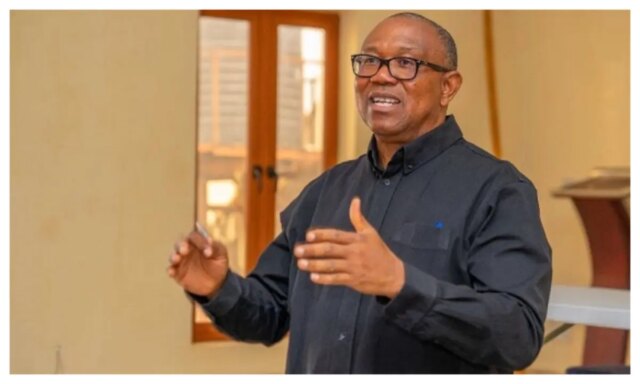 'Insensitive, abuse of trust' - Peter Obi slams distribution of 'Insensitive, abuse of trust' - Peter Obi slams distribution of 2027 election campaign vehicles