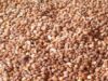 Nigeria Loses N543bn Annually From Beans Export Ban Beans