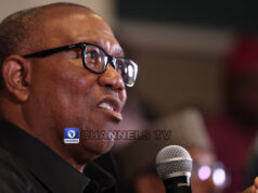 Peter Obi Accuses FG Of ‘Forged Laws’ Peter Obi Accuses FG Of ‘Forged Laws’ • Channels Television