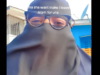 Hijab-Wearing TikTok Creator Faces Backlash for Her Posts Screenshot 2026-01-01 090439