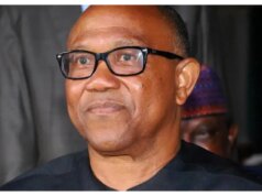 2027: Peter Obi Is the Only Life in ADC, Others Are Not Existing – Fayose Came Late as Peter Obi Has Proved Smarter — Obunike Ohaegbu 'AFCON trophy is within reach' - Peter Obi on Super Eagles' victory over Algeria