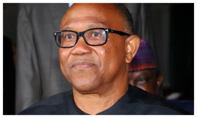 'AFCON trophy is within reach' - Peter Obi on Super 'AFCON trophy is within reach' - Peter Obi on Super Eagles' victory over Algeria