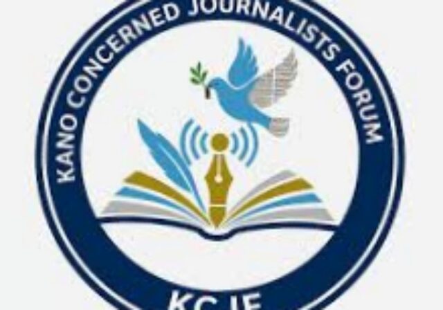 Banditry, porous borders fuel insecurity in Kano - KCJF