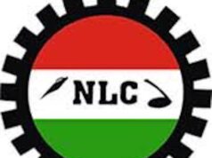 NLC Vows to Pursue Urgent Wage Review in 2026 NLC Vows to Pursue Urgent Wage Review in 2026 – THISDAYLIVE