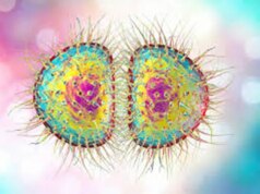 Why gonorrhoea, staph infections are drug-resistant – Experts Why gonorrhoea, staph infections are drug-resistant – Experts