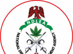 NDLEA Intercepts ₦3bn Heroin Shipment at Abuja Airport, Brazilian National in Custody