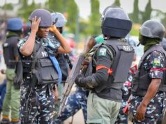Police Smash ₦20m Theft Ring in Ondo, Arrest Seven Suspects After Intelligence Led Operation