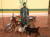 Man Arrested at Child’s Naming Ceremony for Stealing Three Goats in Ogun
