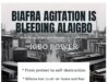 Biafra Agitation Is Bleeding Alaigbo: How Sit-at-Home and Violence Are Destroying Igbo Power — Chief Tochukwu Ezeoke