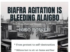 Biafra Agitation Is Bleeding Alaigbo: How Sit-at-Home and Violence Are Destroying Igbo Power — Chief Tochukwu Ezeoke