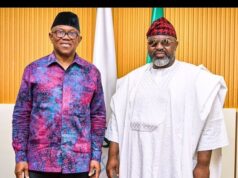 Confusion Trails Alleged Arrest of Kaduna Cleric, Ahmad Tijjani Umar After Meeting Peter Obi as He Denies Detention
