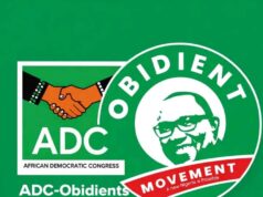 Obidient Movement Backs Nationwide Mobilisation for Peter Obi, Urges Citizen Participation