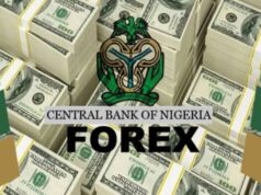 Naira Holds Steady Amid Ongoing FX Pressures