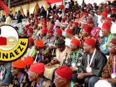 Igbo Efula Slams Enugu Schools for Teaching Igbo in English, Hails Ohanaeze for Language Revival Efforts