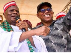 Obi, Kwankwaso Set to Join NDC as Opposition Realignment Gathers Pace