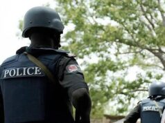 Ogun Police Arrest Man Over Alleged Fake Bandit Attack Video for Social Media Attention
