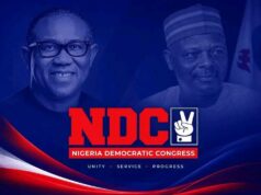 A Diary of Single Terms and the Peter Obi Elixir — Dr Nkem Alu