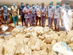 Customs Seize N204m Tramadol, Cannabis, Rice Despite Benin Border Closure Customs Seize N204m Tramadol, Cannabis, Rice Despite Benin Border Closure