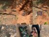 Remote And Immediate Causes Of Ezeagu Army Invasion And House Burnings Under Investigation — Intersociety